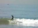 Surfing San Clemente Pier