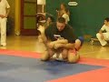 BB Open Heiko Sch�nborn Open Class