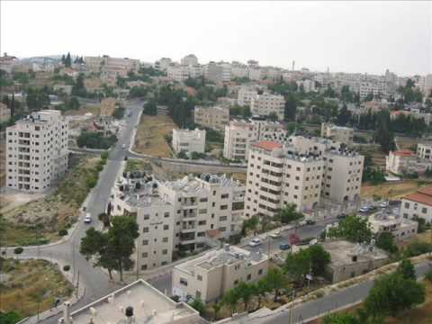 بنات فلسطين