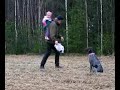 muru muru