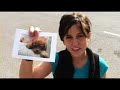The Fiery Furnaces- \"My Dog Was Lost But Now He\