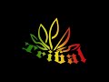Tribal Seeds – Night Raver