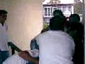 bolita cetmeja bolita cetmeja