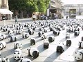 1600 pandas � Bordeaux