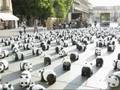 1600 pandas à Bordeaux