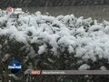 La neige s'installe en Indre-et-Loire