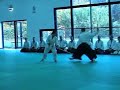 emukai di aikido allo stage del m� gouttard  di alessio autuori