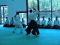 emukai di aikido allo stage del m� gouttard  di alessio autuori