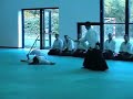 emukai di aikido allo stage del m� gouttard  di alessio autuori