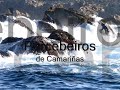Percebeiros de Camariñas