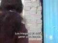 Comando actualidad - 'Ciudad sin ley'