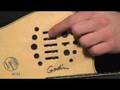 Godin Multiac Nylon Fretless and Boss ME-50