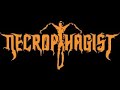 Necrophagist Symbiotic In Theory in 8Bit