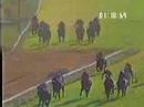 THE VISHAKAPATTANA HANDICAP