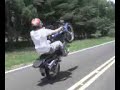 Empinando a falcon