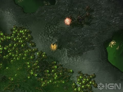 starcraft 2 swarm