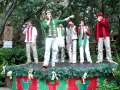 campfire carolers sing we wish you a merry christmas at disney's animal kingdom