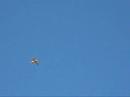\"First\" Flight Lanier EXTRA