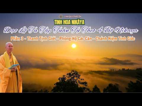 Đạo Lộ Tu Tập Tuần Tự Theo 4 Bộ NIKAYA 3 - Thanh Tịnh Giới -Phòng Hộ Các Căn -Chánh Niệm Tỉnh Giác