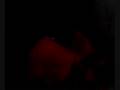 EXORCIST MAZE