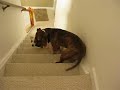Down the stairs