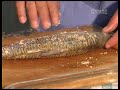 Pesca e Lazer Programa 9 - Tira Gosto Piapara Frita