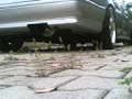 Differenza di 