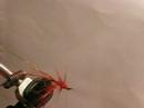 My best Salmon fly My best Salmon fly