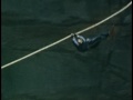 STUNT ROCK (clip)