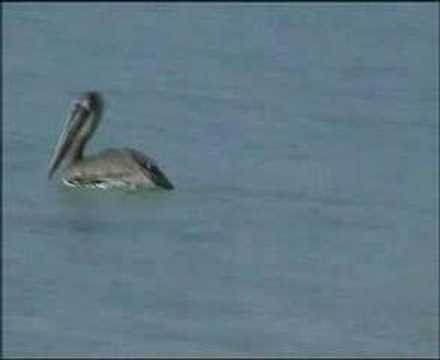 From Key West to Dry Tortugas (Fort ...