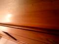 videos de stephh on bog