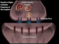 How Prozac works- br