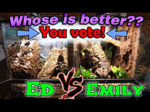 YouTube reptile video