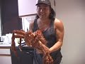 RFID Cooking:  Live King Crab (E01200070126A522)