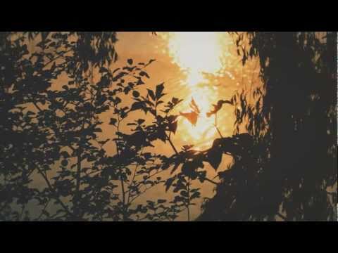 Olu - Beautiful Darkness (Music Video) [HD]