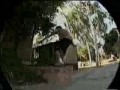 Mark Gonzales 60/40 Glasses for your feet footage Mark Gonzales 60/40 Glasses for your feet footage