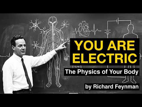 Your Body Creates ELECTRICITY — The Physics Nobody Explains