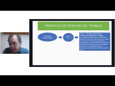 Principios de Derecho del Trabajo - Parte II por Javier Nagata.