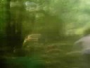 nude boy runing in woods 1