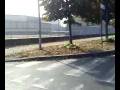 videos de povero il passante che capita a tiro!!!