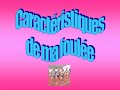 dans le cadre de ma formation en master 1 entra�nement, pr�paration physique et management du sportif � strasbourg, r�alisation d'une autoscopie r�pondant � une logique d'optimisation de la performance selon 2 th�mes : - didactique et p�dagogique d'une activit� physique et sportive ; - analyse technique et scientifique de l'activit� sportive avec la cr�ation d'une vid�o de sa propre pratique (pour moi = 1500m)