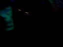 Saschall Cocoon Party 2