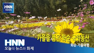 가을을 품은 화순 국화동산