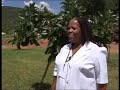 TCE South Africa