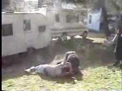 XOBW-Numeral vs. Manic vs. K-Rod vs. ...