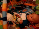 Freddy Grabbing Toys Freddy Grabbing Toys