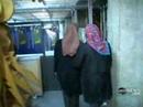 Inside IRAN's underground billion-dollar art gallery