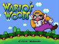 this is one of my favorite puzzle games and one of the top fav. overall games on the nes. wario's woods was actually the last game made for the nes. kind of odd that toad is actually the main hero of this story. that's kinda what i like about wario, he's not all that evil, he's just a jerk.