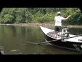 Fly Fishing for Rising Trout on Tennessee's Holston River