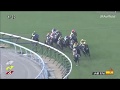 【競馬/スティッフェリオ】小倉大賞典 2019年2月17日 小倉11R 小倉大賞典G3